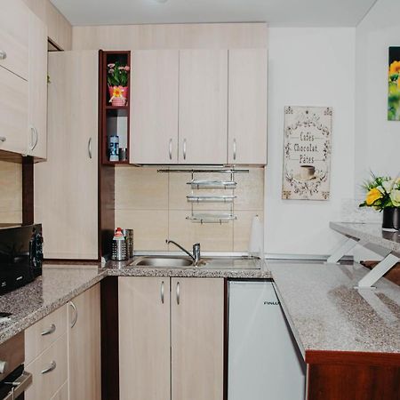 Hugo Mountain Apartman Sinaia Kültér fotó