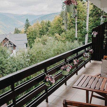 Hugo Mountain Apartman Sinaia Kültér fotó