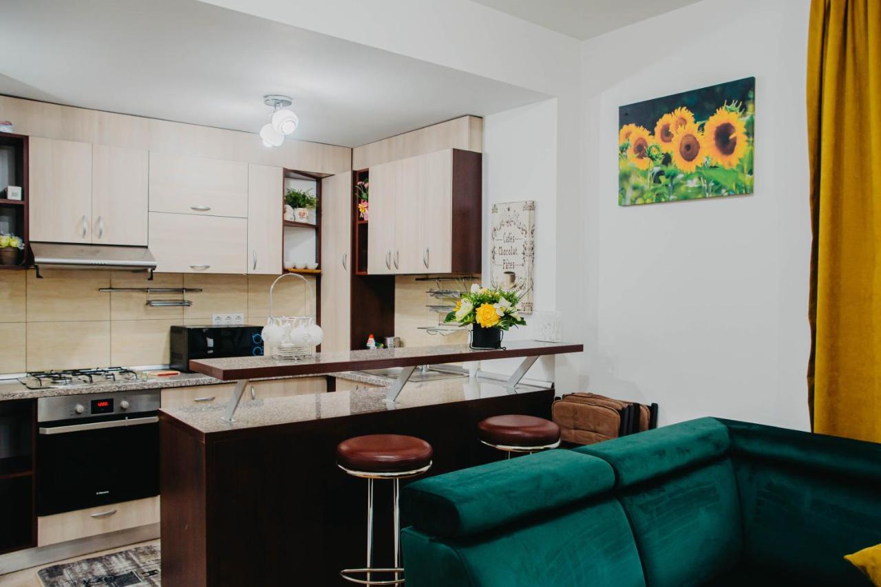 Hugo Mountain Apartman Sinaia Kültér fotó