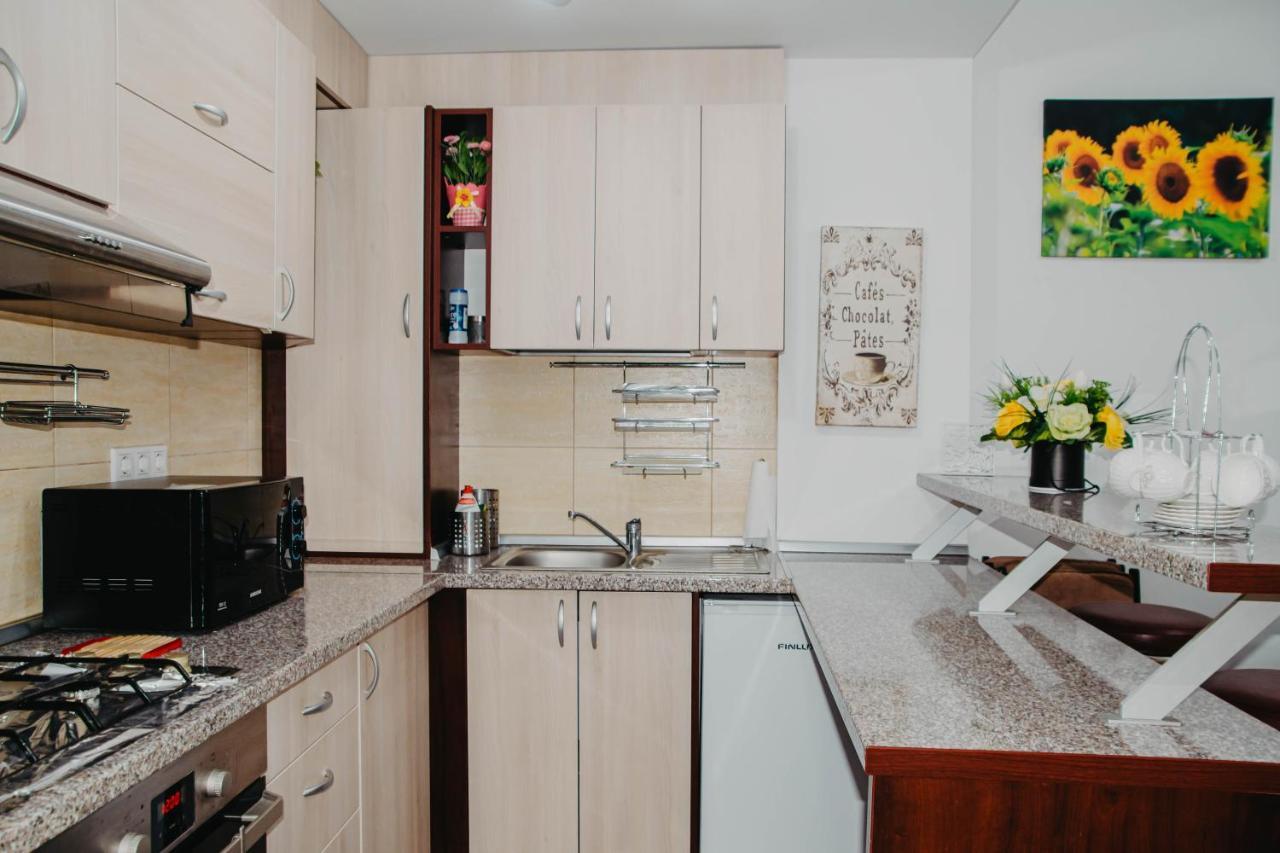 Hugo Mountain Apartman Sinaia Kültér fotó